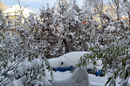 Schnee, Schnee, Schnee