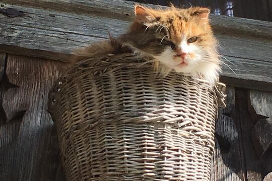 WhatsApp Bild 2025-05-05 um 10.48.22_e8115986