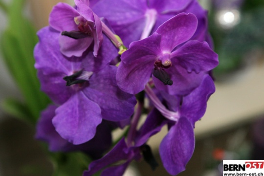 3d5aab65c5ac01e378eab4ac72e3ad72.jpg