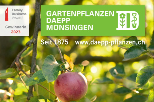Berner Rosen Obstbaumfest 2024.png