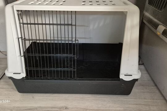 20260805_192140.jpg