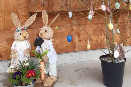 WhatsApp Bild 2025-04-15 um 13.41.06_9f17df8d