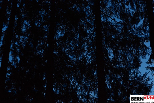 3dd8bb22539a78c7b567dd7148fa0735.jpg