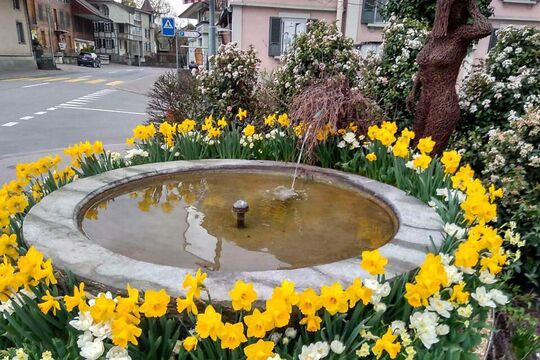 Bild Osterbrunnen laden zum Rundgang ein
