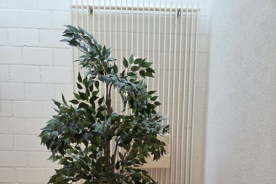 20261009_100944.jpg