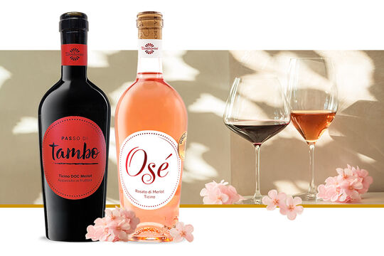 1 Bern Ost Monats-Hit 04.2026.jpg