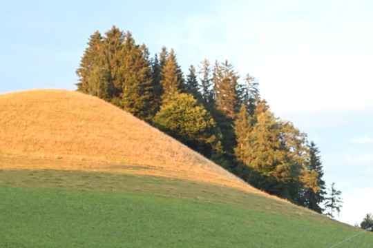 DSC_0774