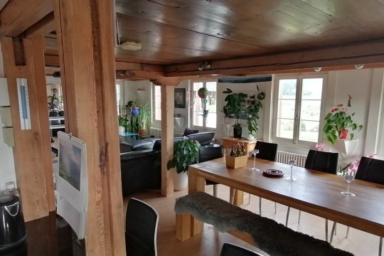 IMG_20191019_154232.jpg