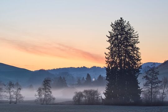 Bild &laquo;Ich war eine halbe Stunde vor Sonnenaufgang dort&raquo;