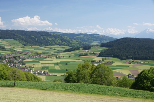Ballenbüel,_Landschaft