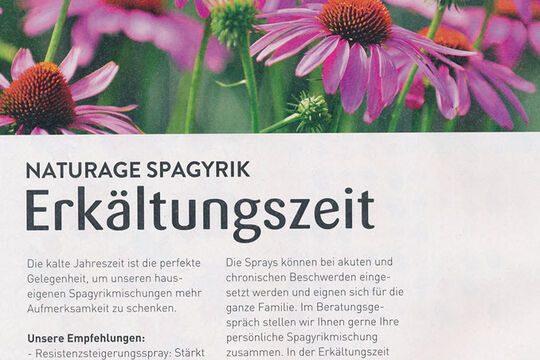 2025-11SpagyrikErkältungHausmittel.jpg