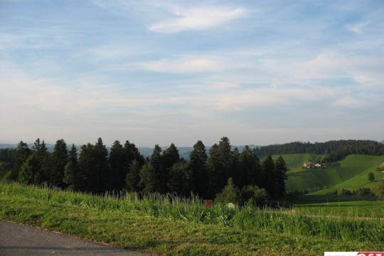 3ff5d2023dbf10864fe49b7c1d9d92ed.jpg