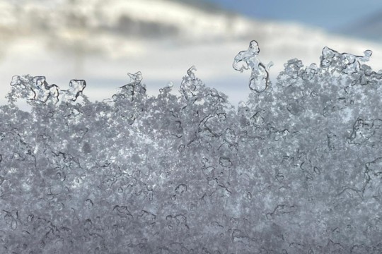 Schnee Enggistein 1