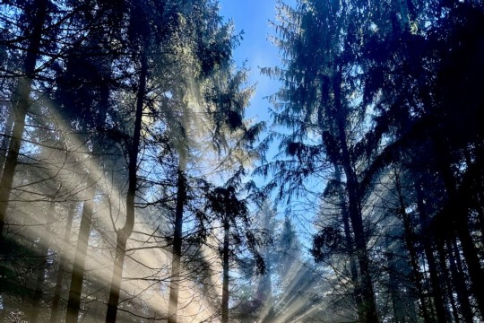 Winterbild2