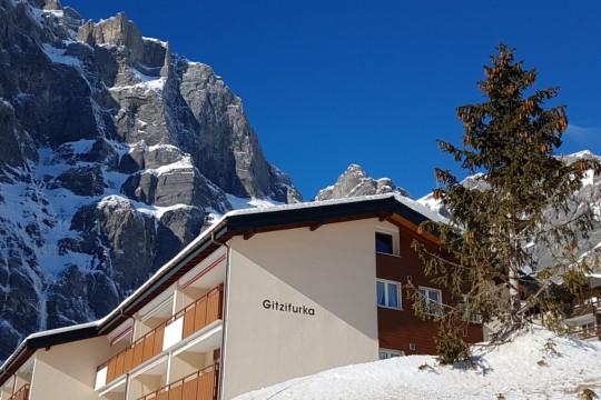 20190121_125743.jpg