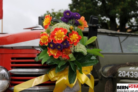 4237c91abbe03896e53620990fef84b3.jpg