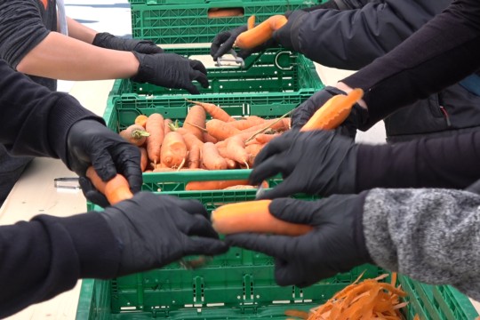 Neuer Film (29).Movie_Schnappschuss.jpg