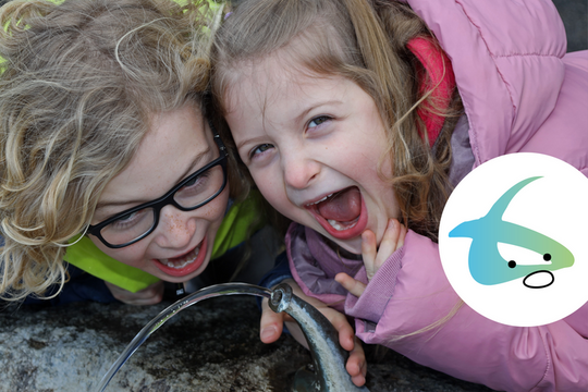 2025_06_21 kostbares Nass - Trinkwasser.png