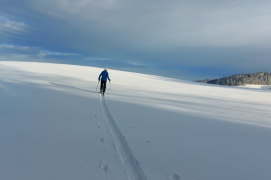 Schnee Worbberg