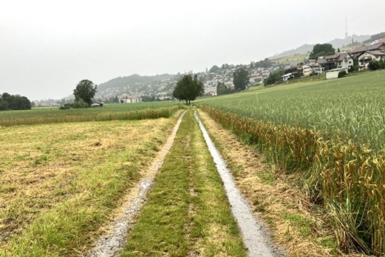 Weg