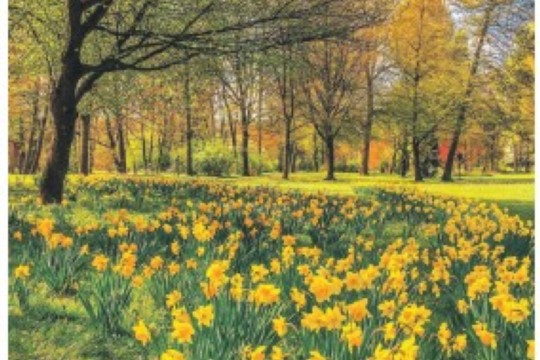 Ostern 2023.jpg