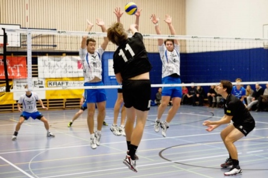 458e7aaac0ae8c8dc3923f3fdc103523.jpg