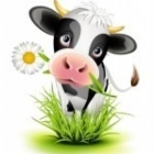 Profil Bild