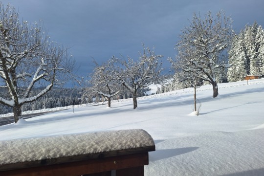 Schnee Roethenbach