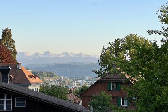 IMG_4010.jpeg