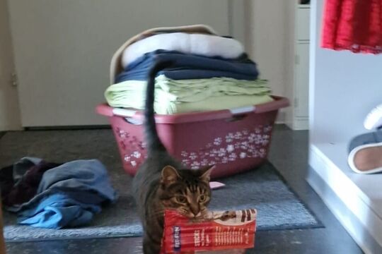 WhatsApp Image 2025-05-05 at 15.10.51