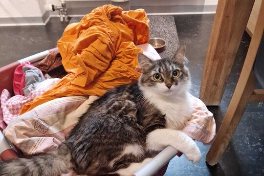 WhatsApp Image 2025-05-05 at 15.11.40