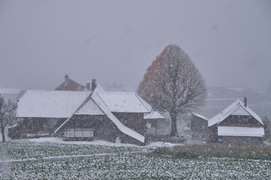 bild1