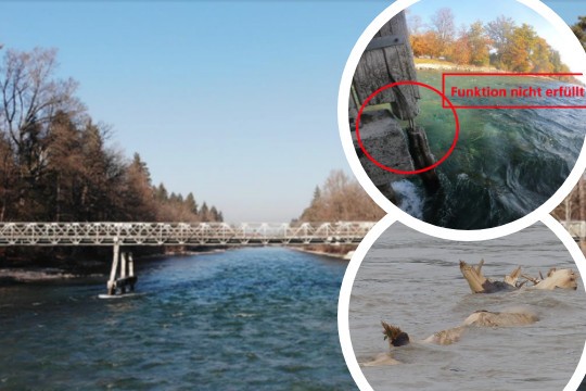 Schtzenfahrbrcke Mnsingen-High-Quality mit baum