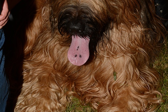 49a0843d97bd2df74e2ec529ad80b09a.jpg