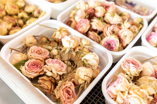 eventpic_trockenblumen-3.jpg