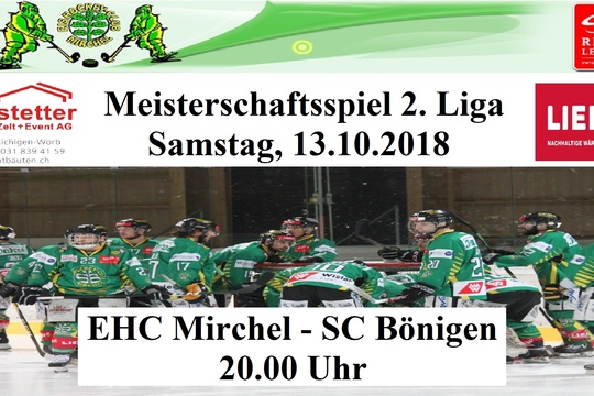 Meisterschaftsspiel 2. Liga, 13.10.18.jpg