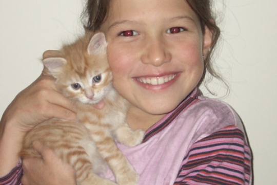4b4a11464ac61a66db3841d27f69fabf.jpg
