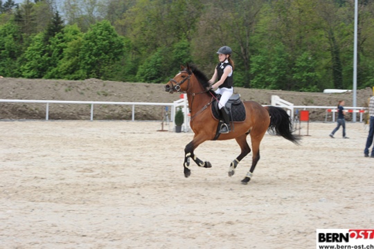 4b5010529750e4ed932434e0efbb6a53.jpg