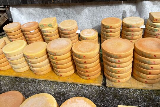 IMG-20250407-WA0018.jpg