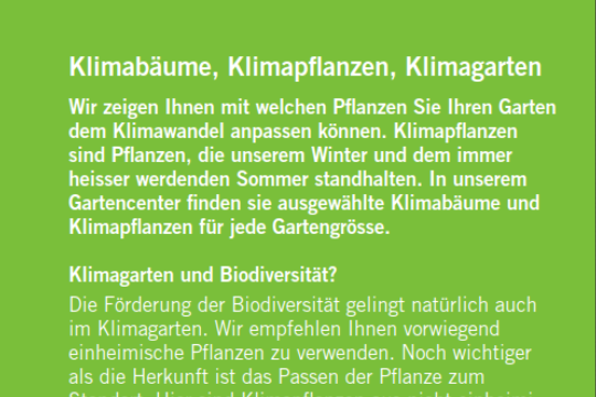 Klimagarten Wochen_back.png