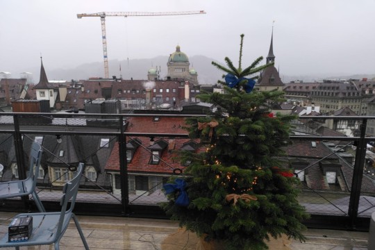Tannenbaum Bilder.jpg
