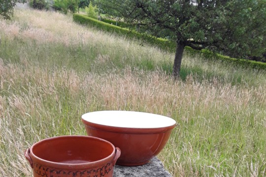 20210706_100743.jpg