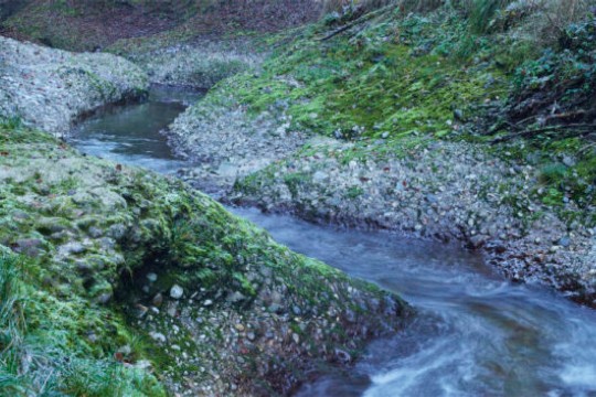 278679-770x353