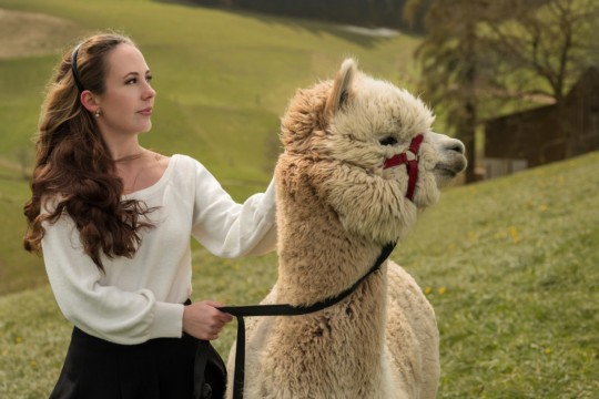 NZ6_1354-1_pp.jpg