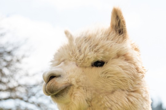 NZ6_1398-1.jpg