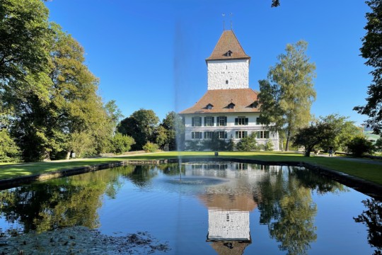 schloss wyl