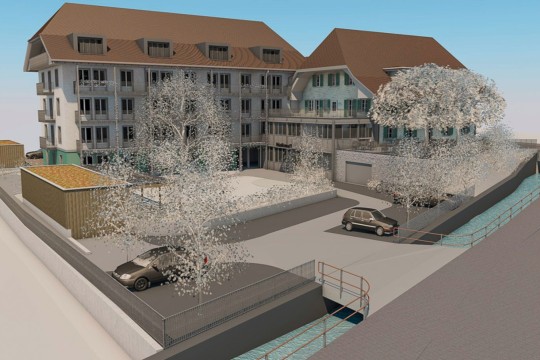 Löwen_Oberdiessbach