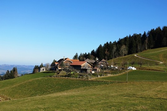 äbersold