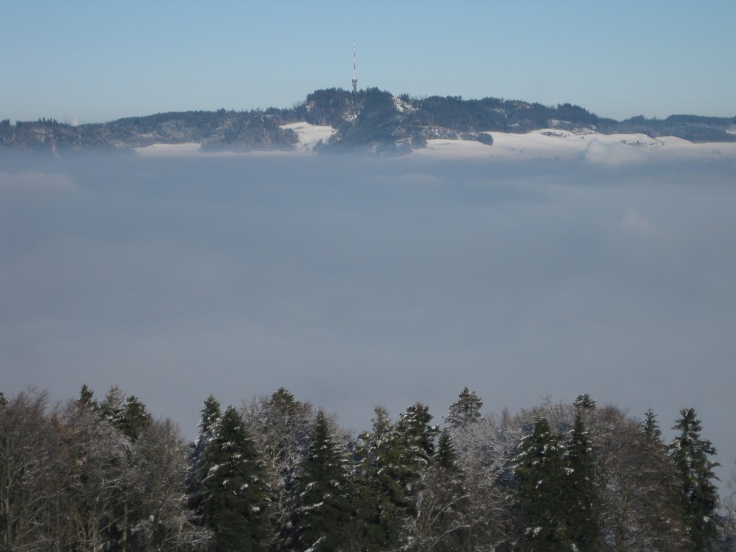 2560px-2009-01-11_View_on_Bantiger_from_Gurten_near_Berne_in_Winter_07