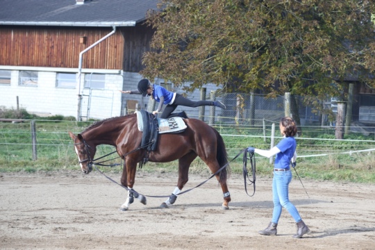 51efd0eccc252330350048e97fa99d2e.jpg